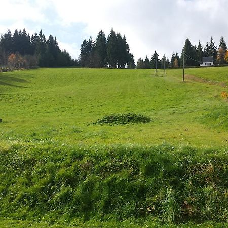 Ferienhaus Am Skihang Altenberg  Zewnętrze zdjęcie