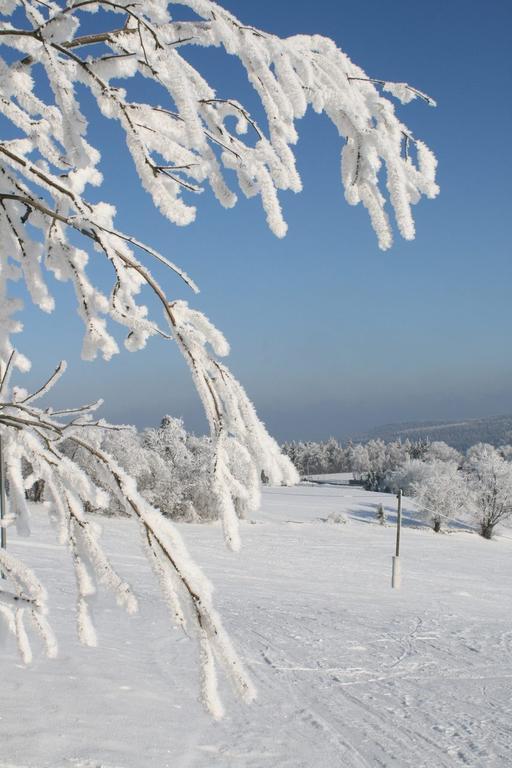 Ferienhaus Am Skihang Altenberg  Zewnętrze zdjęcie
