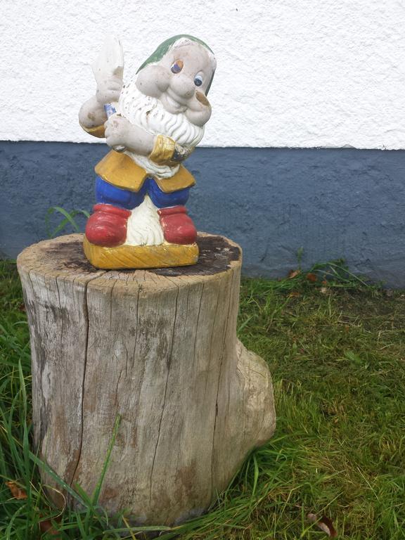 Ferienhaus Am Skihang Altenberg  Zewnętrze zdjęcie